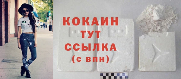 гашик Карталы