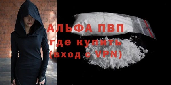 гидра Карпинск