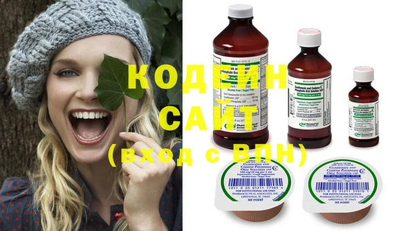 стаф Киренск