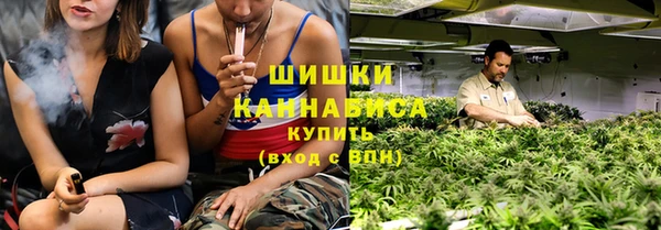 гидра Карпинск