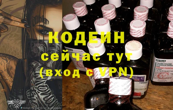 гидра Карпинск