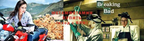 гидра Карпинск