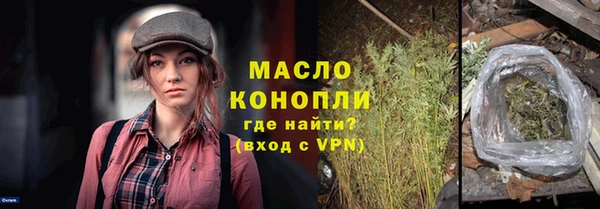 гидра Карпинск
