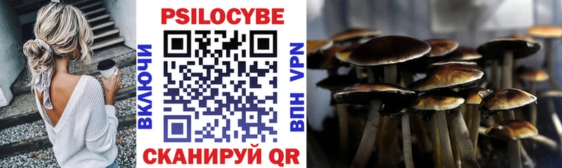 blacksprut   как найти закладки  Кирсанов  Псилоцибиновые грибы мухоморы 